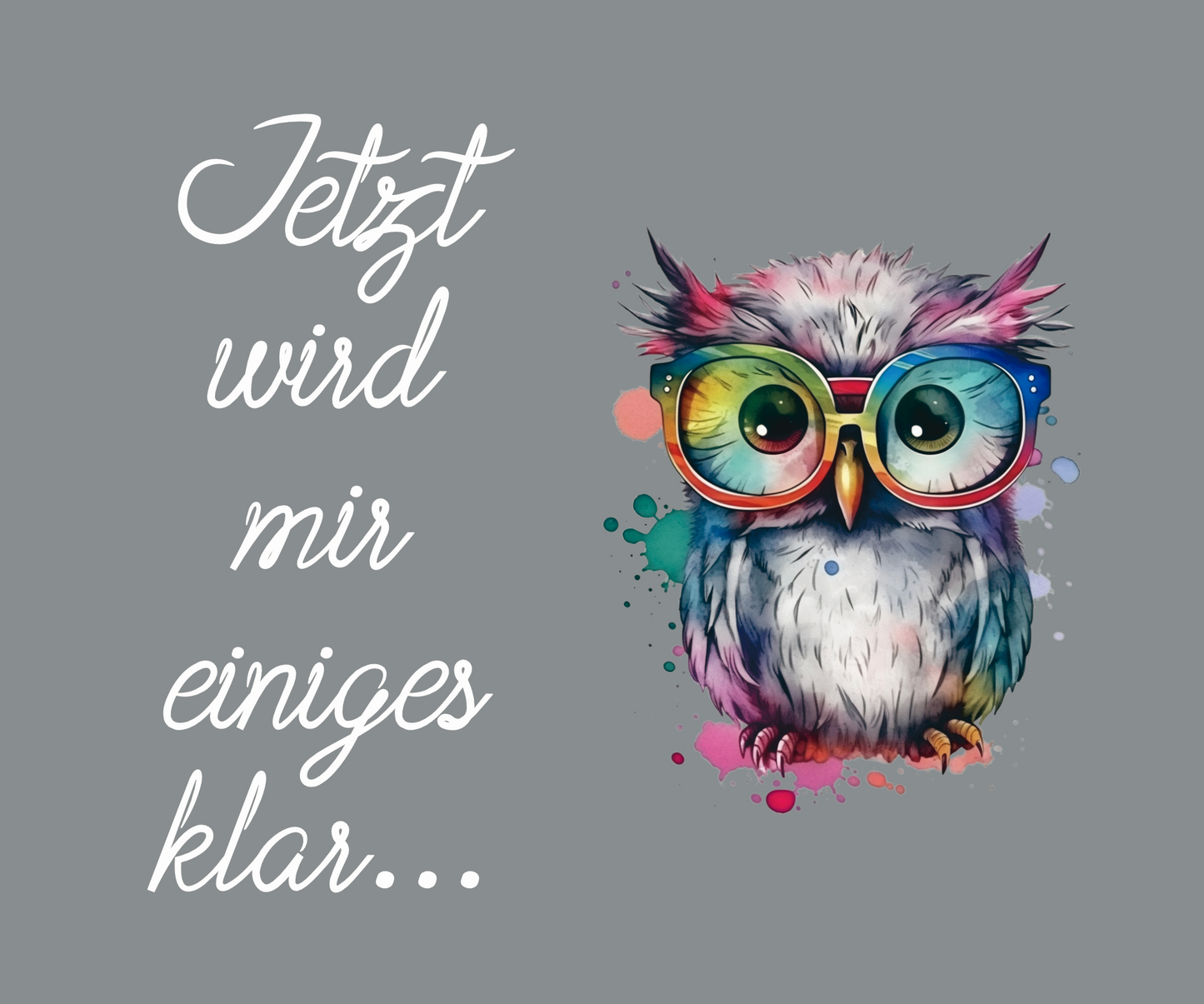 Brillenputztuch - Eule grau Jetzt wird mir einiges klar